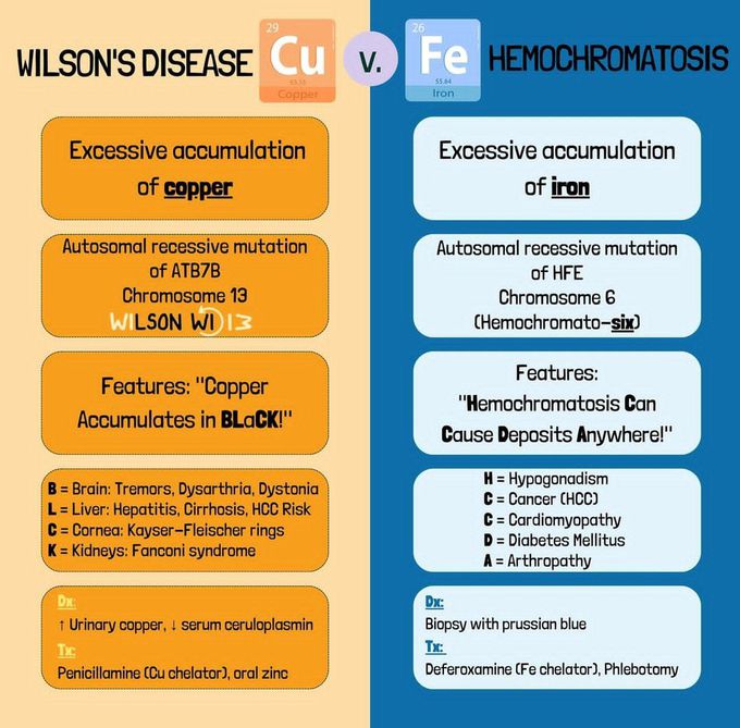 Wilson's Disease Vs Hemochromatosis