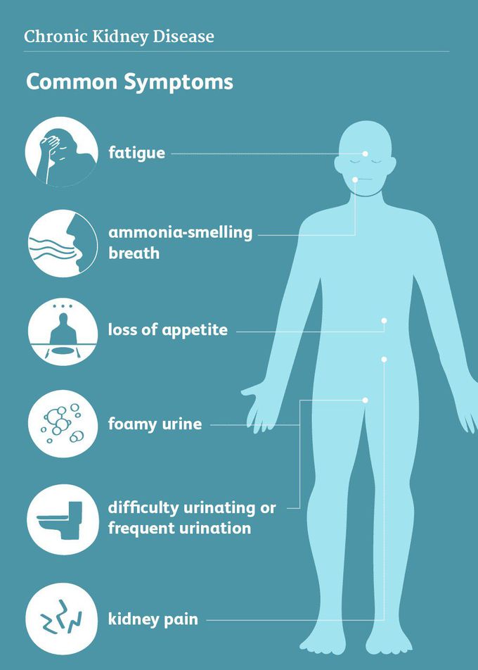 Symptoms of Chronic Kidney Disease