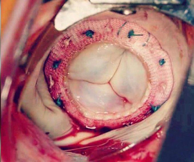 Can you identify this....????