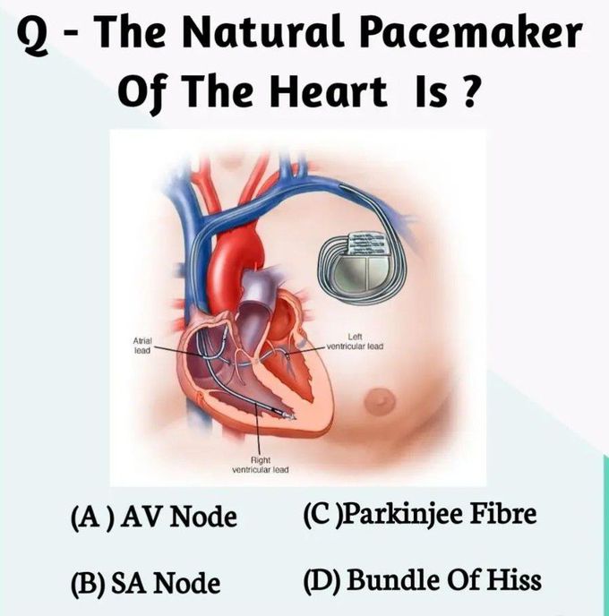 Natural Pacemaker