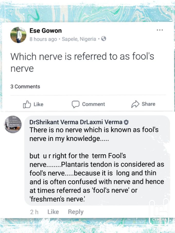 Fool's nerve