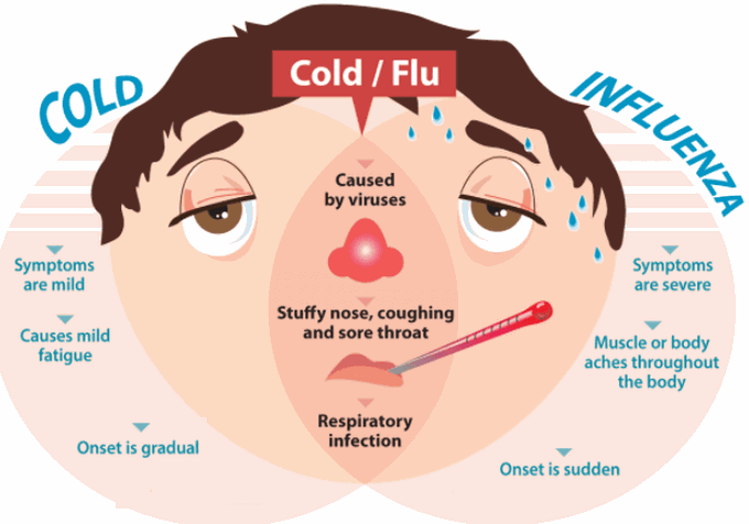 Cause of Flu (Influenza)