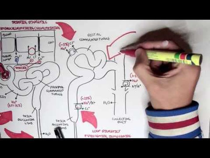 Diuretics