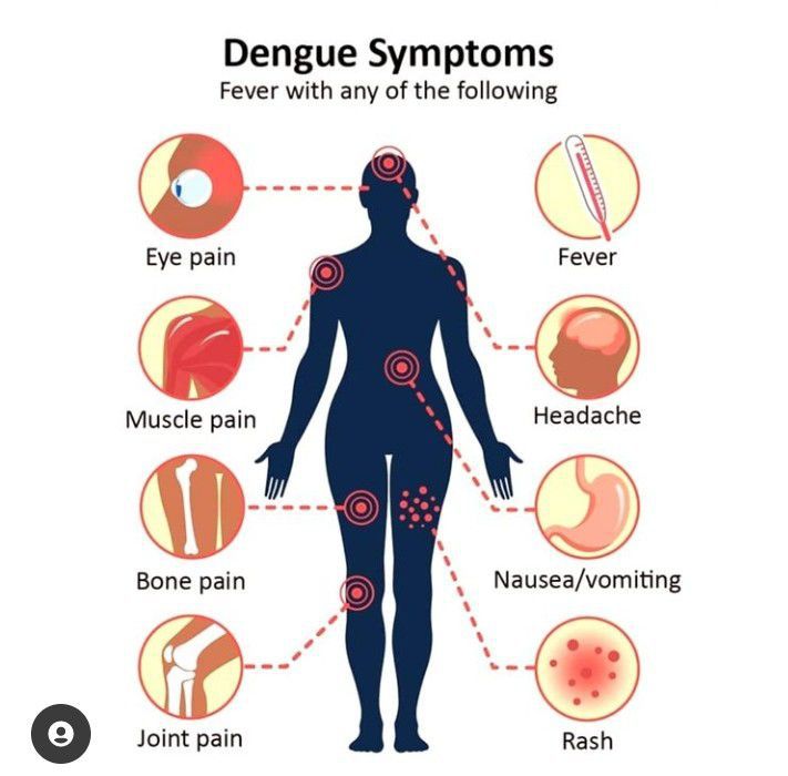 Dengue symptoms - MEDizzy