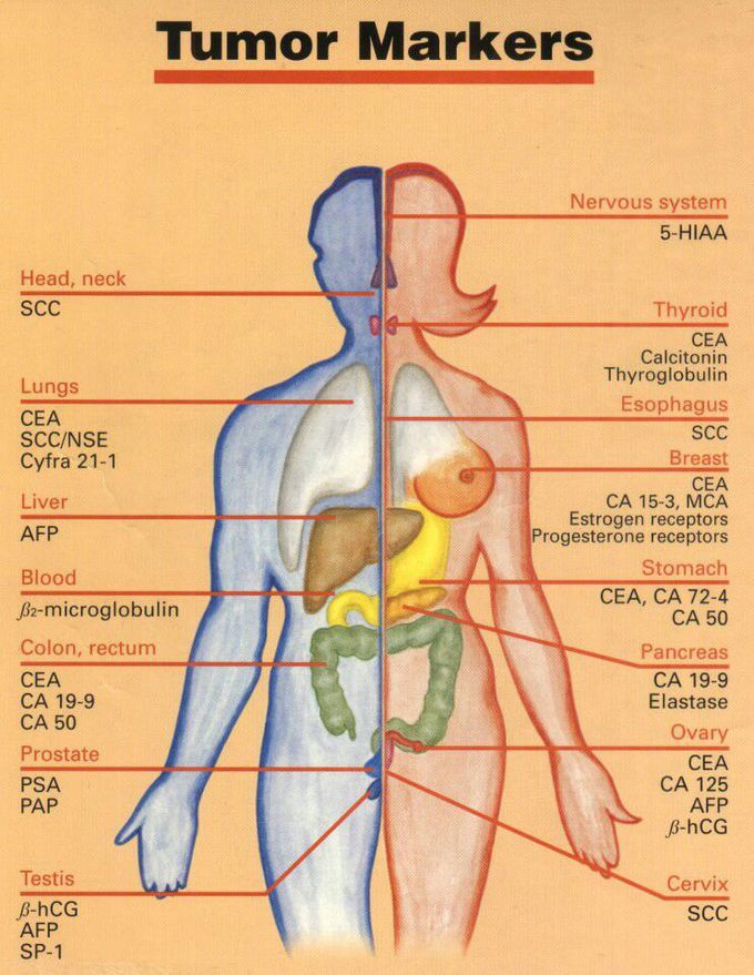 Tumor marker