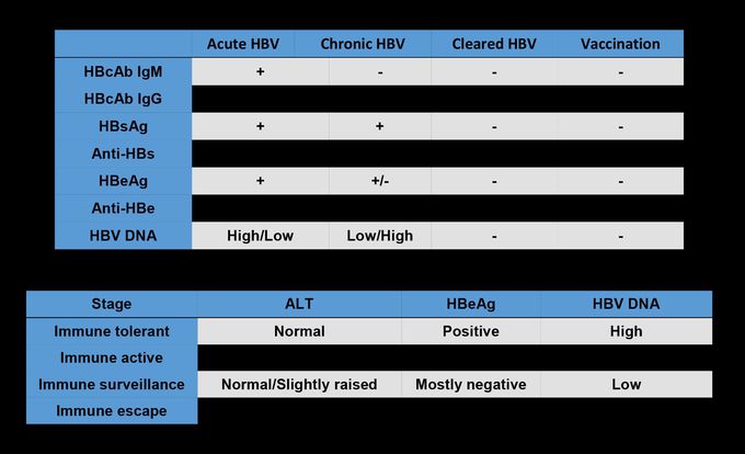 Serological markers of HBV