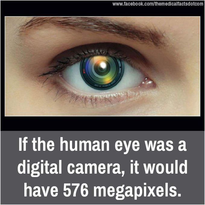 Human Eye