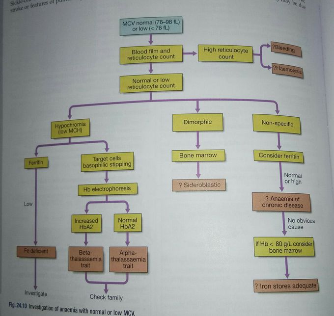 Anaemia