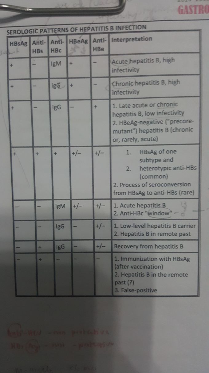 HBV