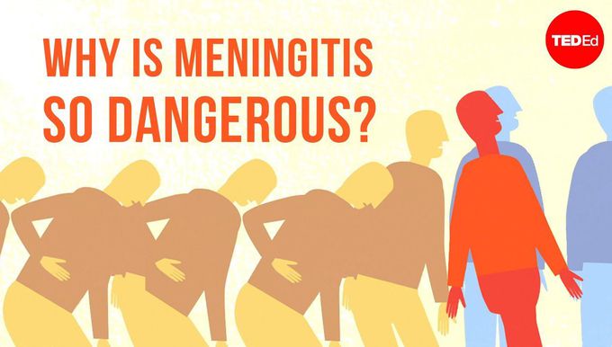 Why is meningitis so dangerous? - Melvin Sanicas