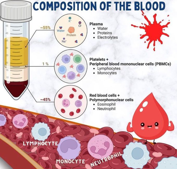 Composition of Blood