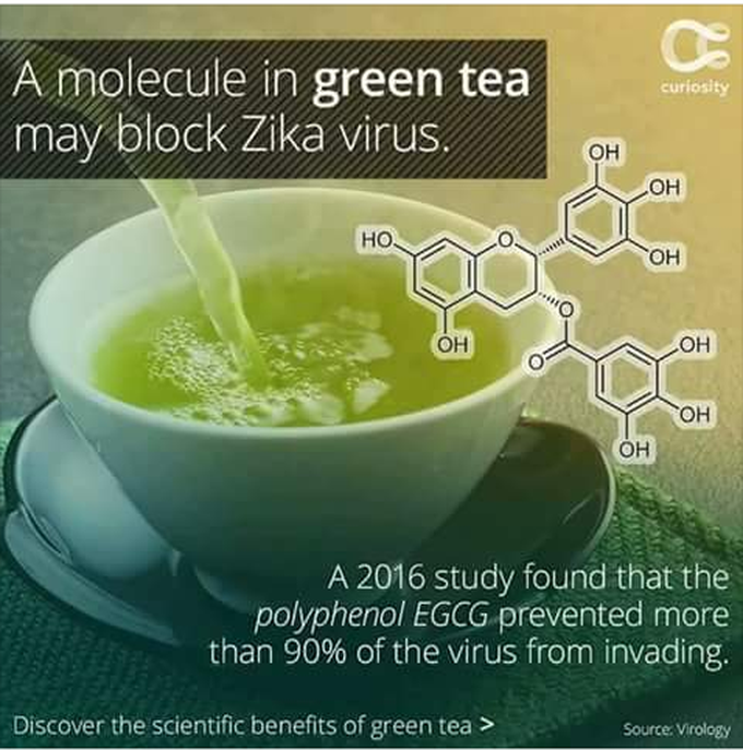Green tea♡♥