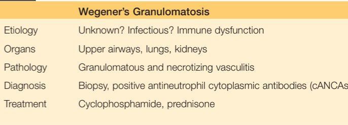Wegener's granulomatosis features - MEDizzy