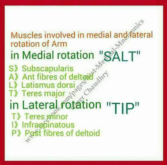 SHOULDER ROTATORS