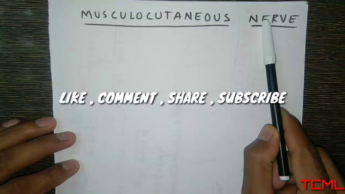 how draw Musculocutaneous Nerve