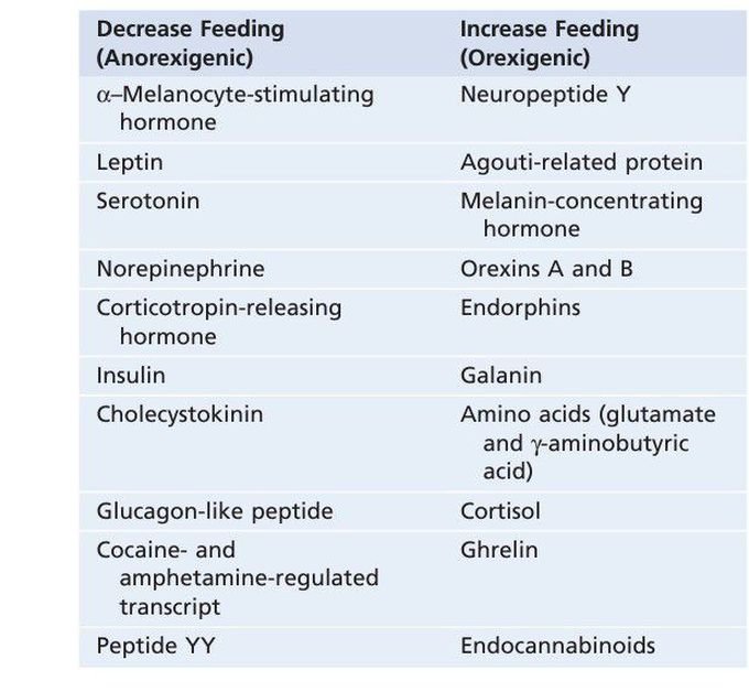 Feeding and satisty centers