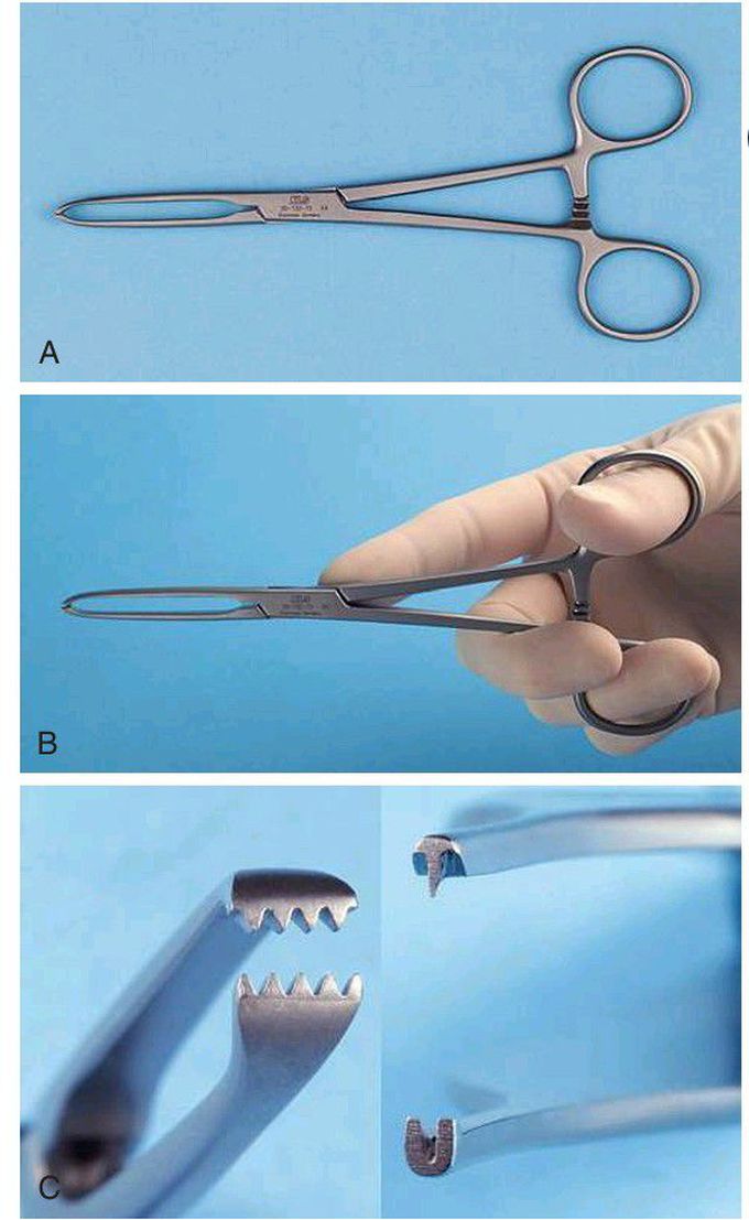 Allis forceps