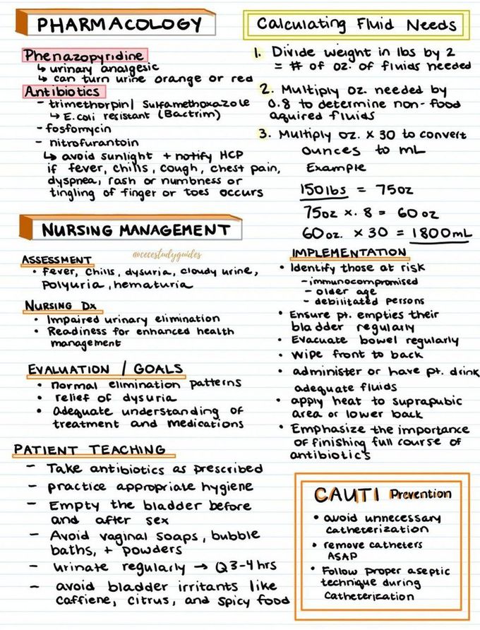 Urinary Tract Infections II