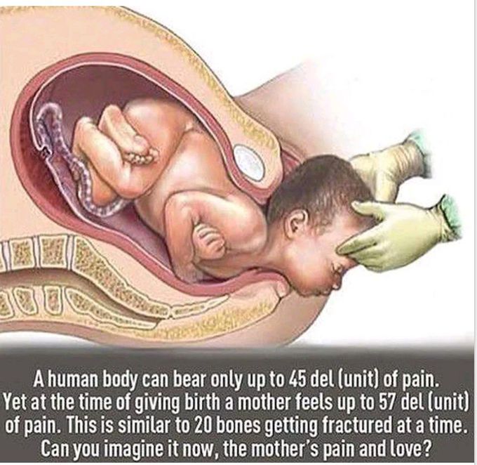 Pain and love ??