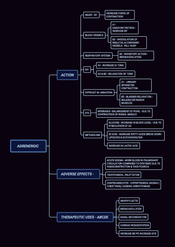 A brief history of sympathetic system