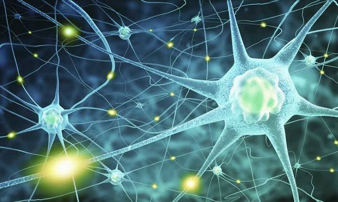 How injured nerves stop themselves from healing.