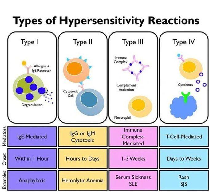 Types of Hypersensitivity Reactions