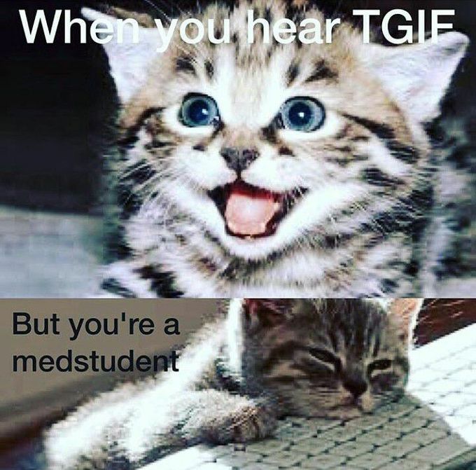 TGIF-Thank God Its Friday😂😂