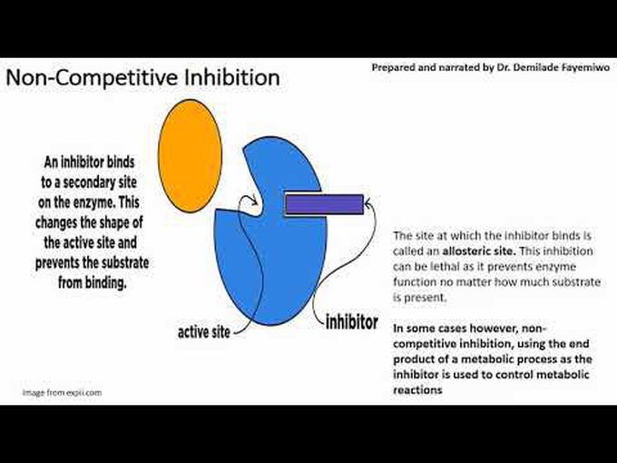 Inhibition and immobilization of enzymes.