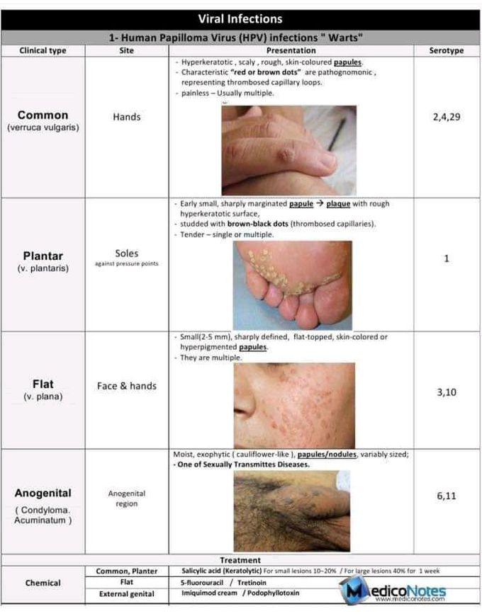 Skin Disease