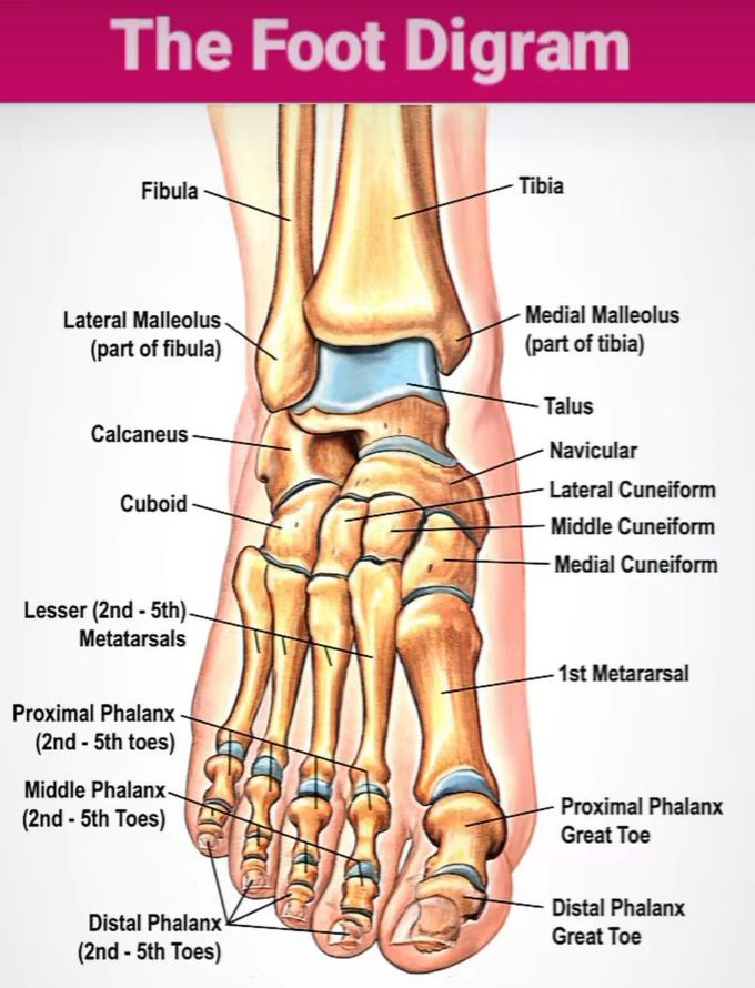 The Foot Diagram