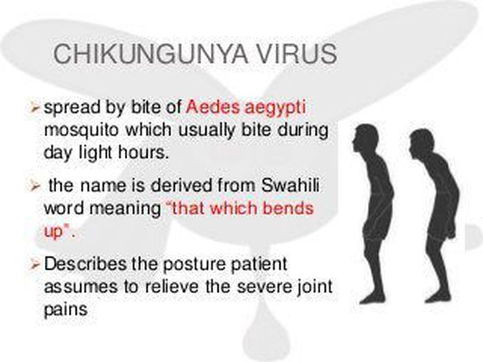 Chikungunya