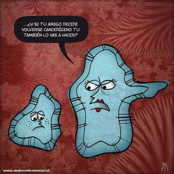 Stem cell xD