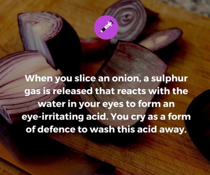 Onion and crying 😀😀