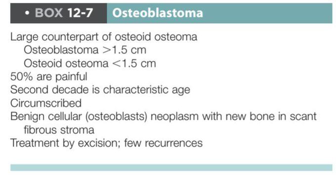 Osteoblastoma