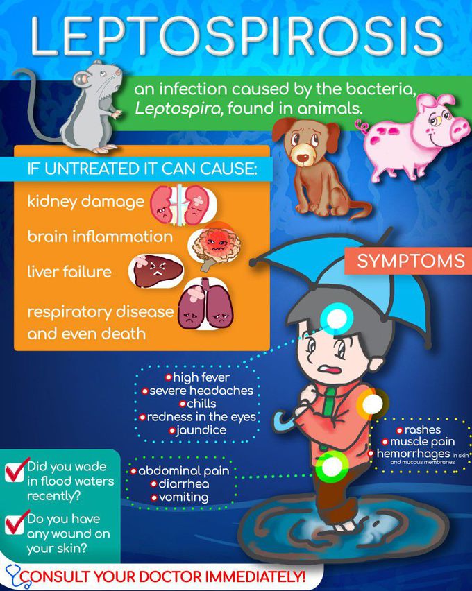 Risk of Leptospirosis