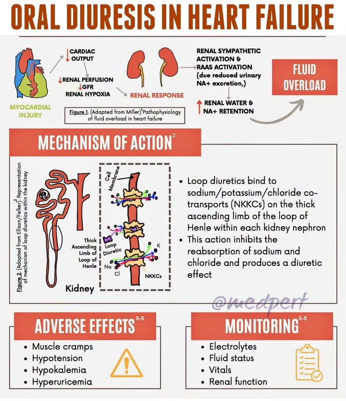 Oral Diuresis in Heart Failure