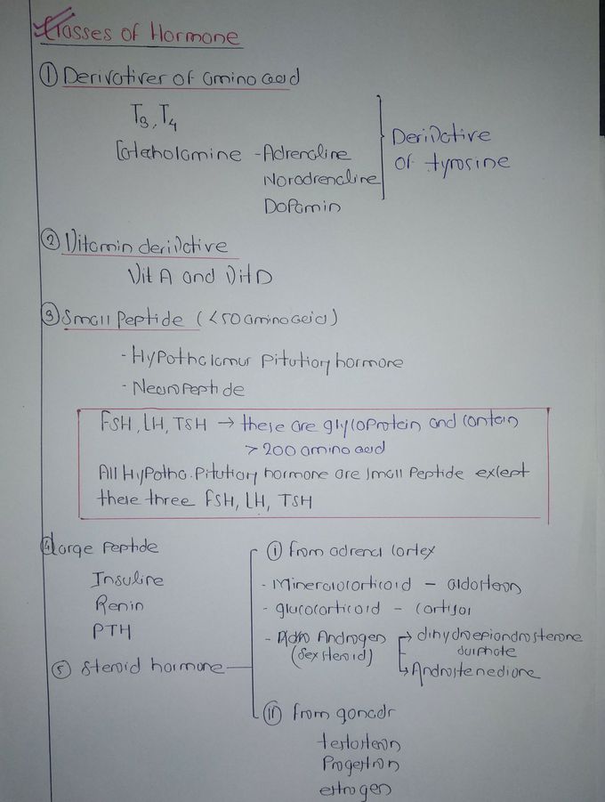 Endocrine system ( class of hormones depending on structure)
