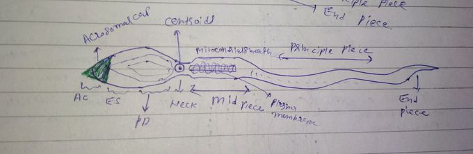 Remember this structure???