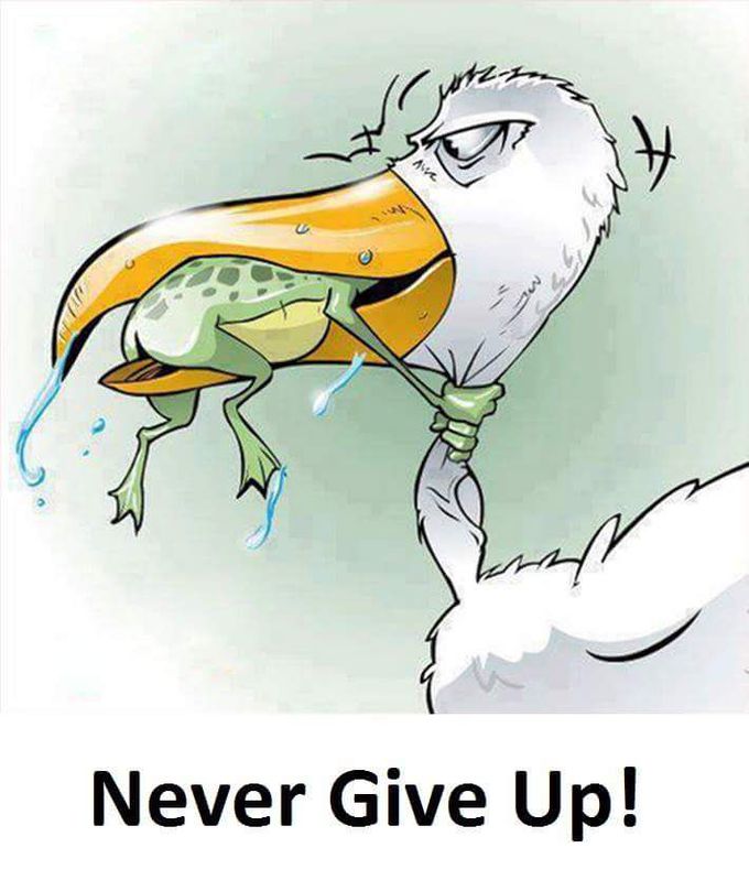 Never Give Up!!!