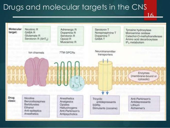 Drugs & Molecular targets in CNS