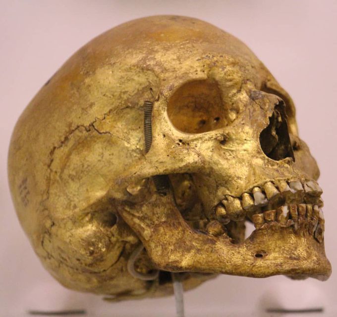 A SKULL COATED IN GOLD