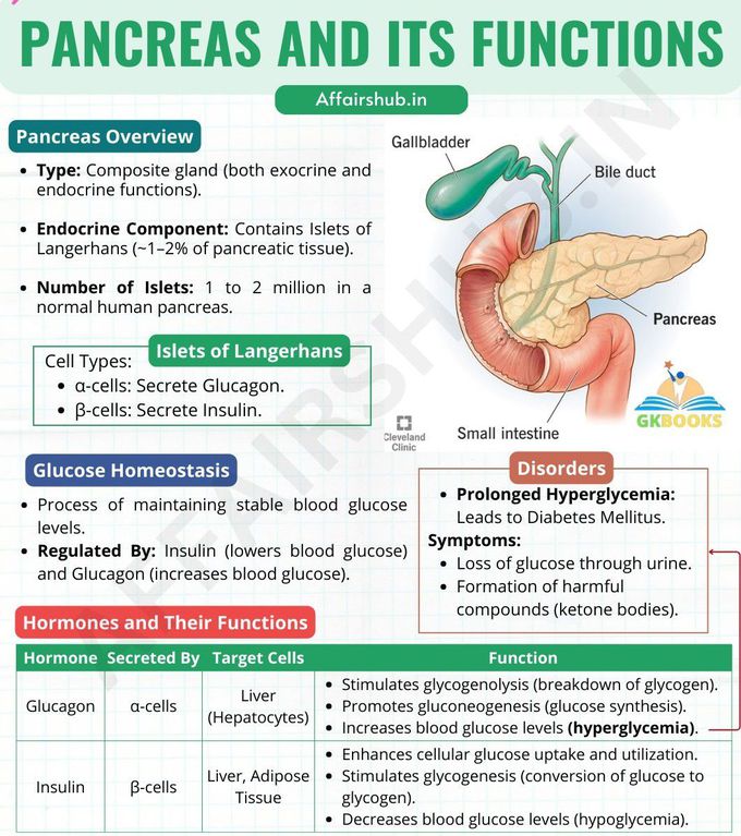 Pancreas