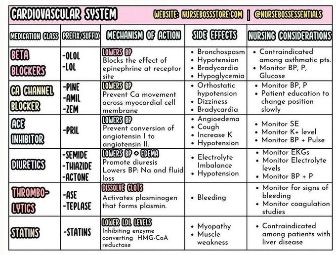 Cardiovascular System