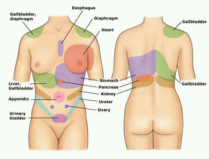 Dolores en el abdomen bajo hombres