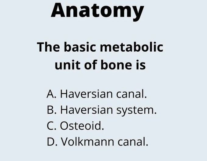 Basic metabolic unit of Bone