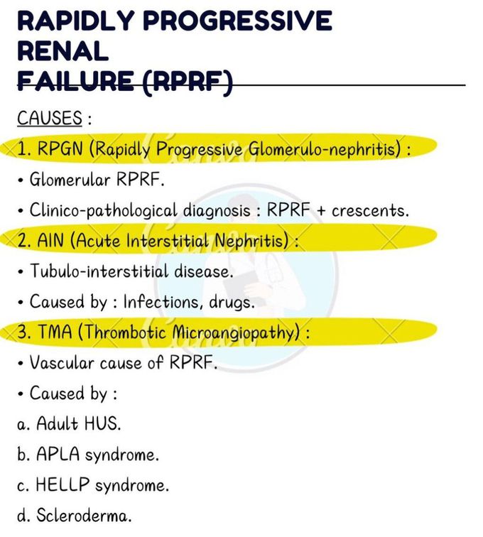 Rapidly Progressive Renal Failure II