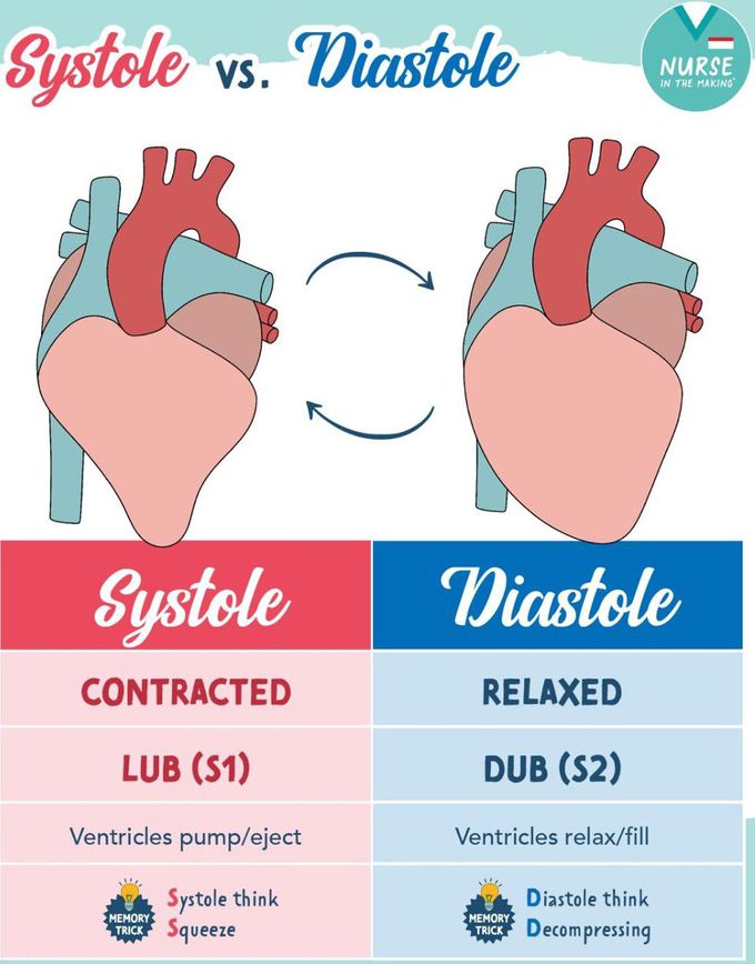 Systole vs diastole medizzy
