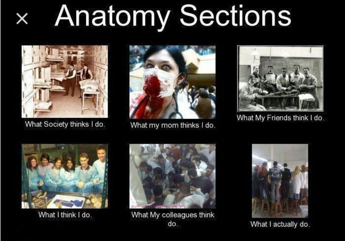 Anatomy between fiction and reality!!!!