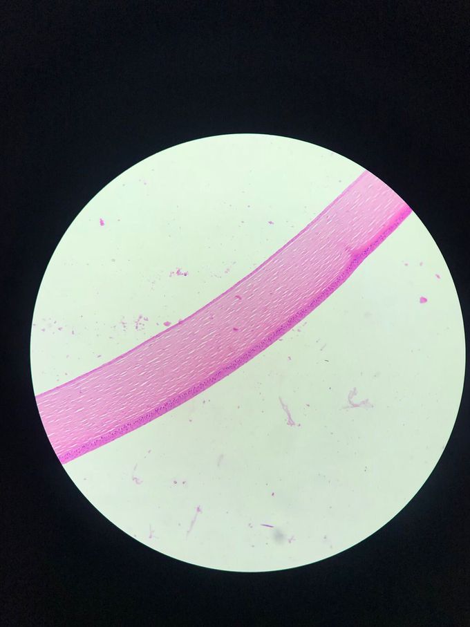 Can you guess what this is?