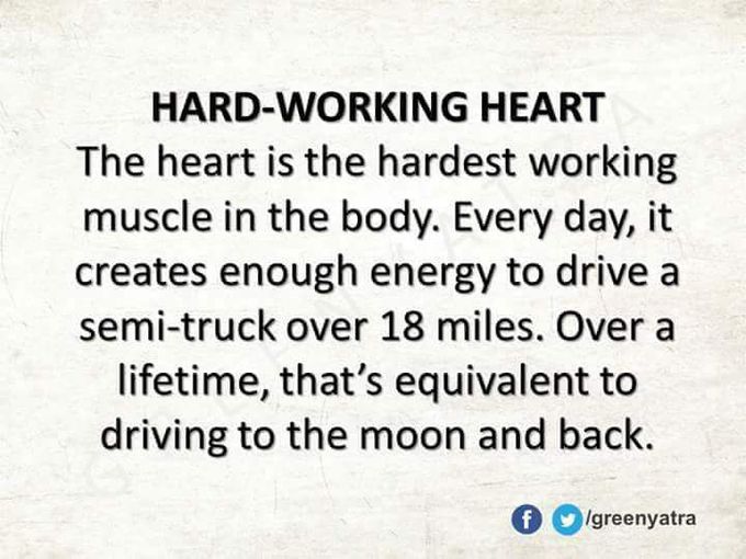 Amazing fact !!😍😍
